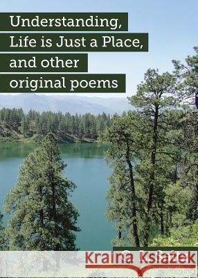 Understanding, Life Is Just a Place, and Other Original Poems C. L. Saltz 9781927967683 C. L. Saltz - książka