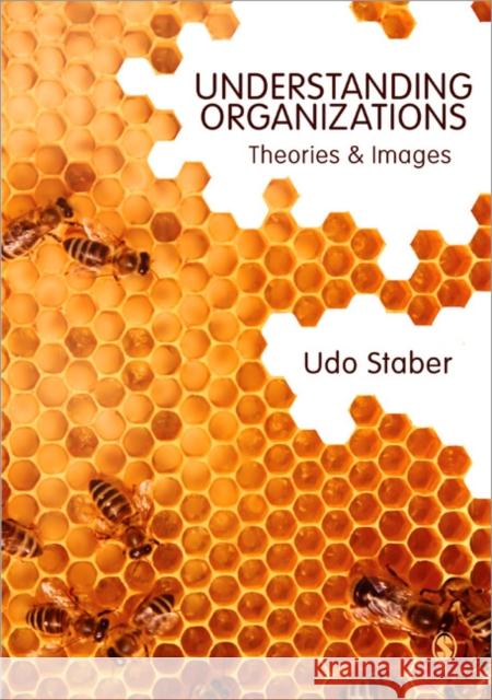 Understanding Organizations: Theories and Images Staber, Udo 9781849207416  - książka