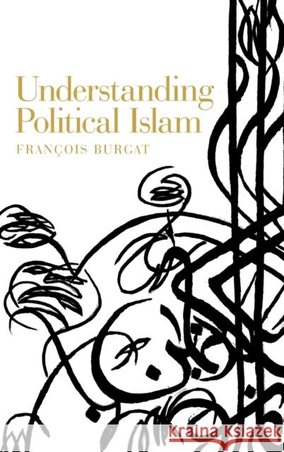 Understanding Political Islam  9781526143433 Manchester University Press - książka