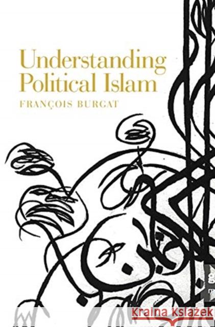 Understanding Political Islam  9781526143457 Manchester University Press - książka