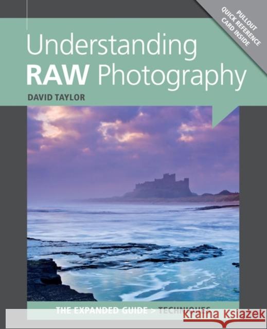 Understanding RAW Photography David Taylor 9781907708558  - książka