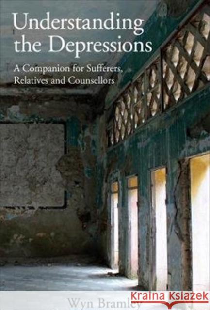 Understanding the Depressions: A Companion for Sufferers, Relatives and Counsellors Wyn Bramley 9781911383383 Free Association Books - książka