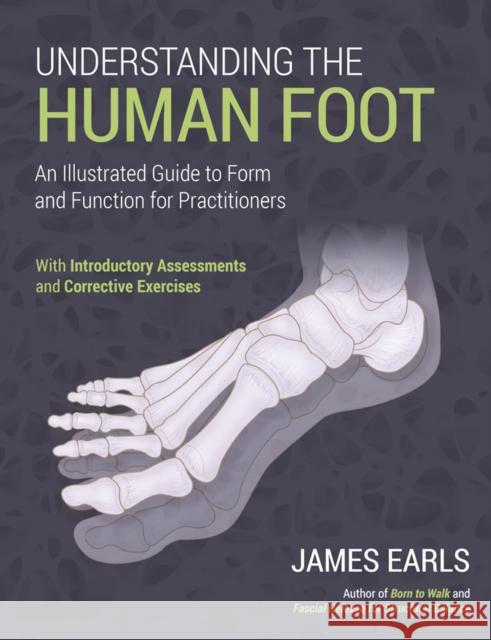 Understanding the Human Foot: An Illustrated Guide to Form and Function for Practitioners James Earls 9781913088262 Lotus Publishing - książka