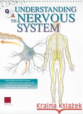 Understanding the Nervous System Flip Chart Scientific Publishing 9781932922875 Scientific Publishing - książka