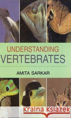 Understanding Vertebrates Amita Sarkar 9788183565462 Discovery Publishing House Pvt Ltd - książka