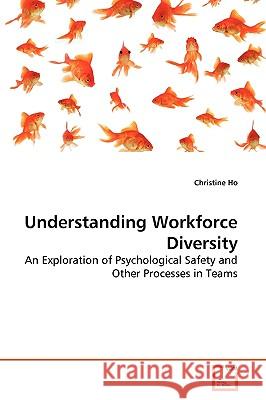 Understanding Workforce Diversity Christine Ho 9783639261936 VDM Verlag - książka