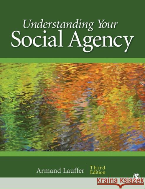 Understanding Your Social Agency Armand Lauffer 9781412926522 Sage Publications (CA) - książka
