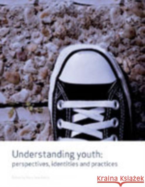 Understanding Youth: Perspectives, Identities and Practices Kehily, Mary Jane 9781412930642 Sage Publications - książka