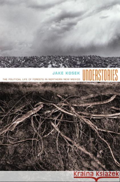 Understories: The Political Life of Forests in Northern New Mexico Jake Kosek 9780822338321 Duke University Press - książka