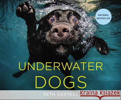 Underwater Dogs Seth Casteel 9780316227704 Little Brown and Company - książka