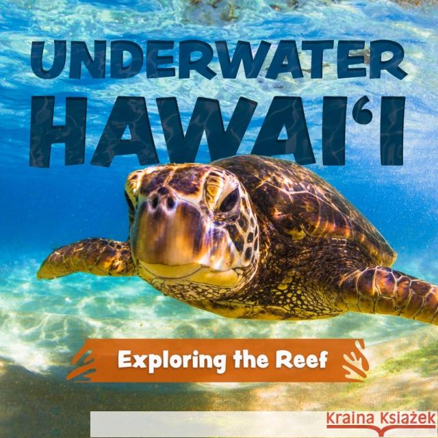 Underwater Hawai'i: Exploring the Reef: A Children's Picture Book about Hawai'i Keith Riegert 9781646046645 Ulysses Press - książka