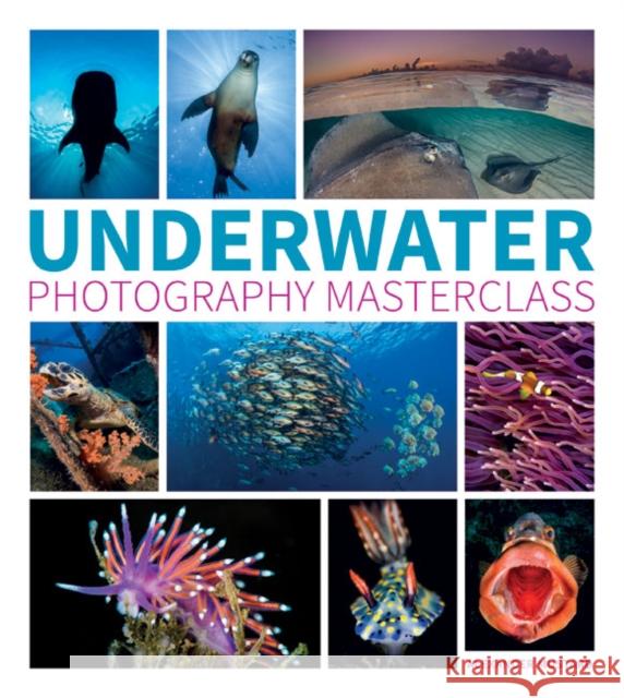 Underwater Photography Masterclass Alexander Mustard 9781781452226 GMC Publications - książka