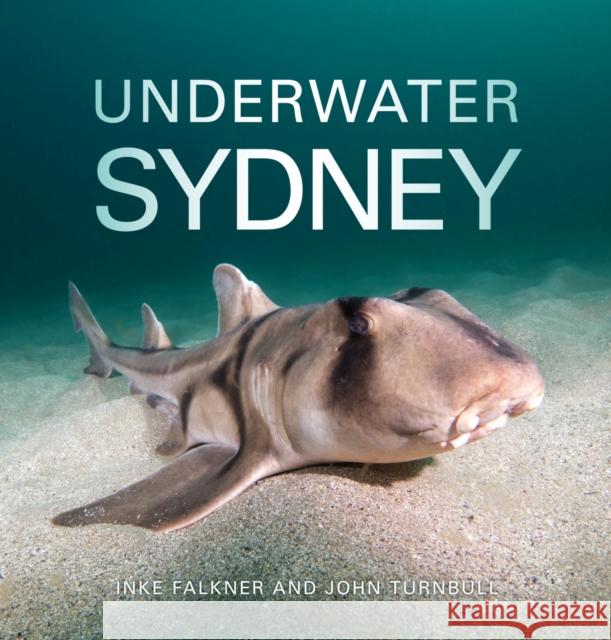 Underwater Sydney Inke Falkner John Turnbull 9781486311187 CSIRO Publishing - książka