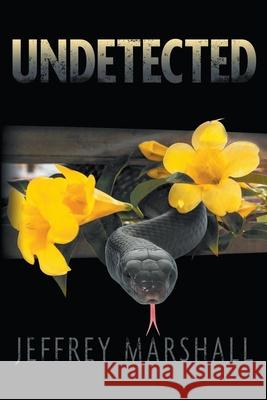 Undetected Jeffrey Marshall 9781647490829 Go to Publish - książka