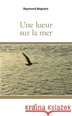 Une lueur sur la mer Magnant, Raymond 9782343111766 Editions L'Harmattan - książka