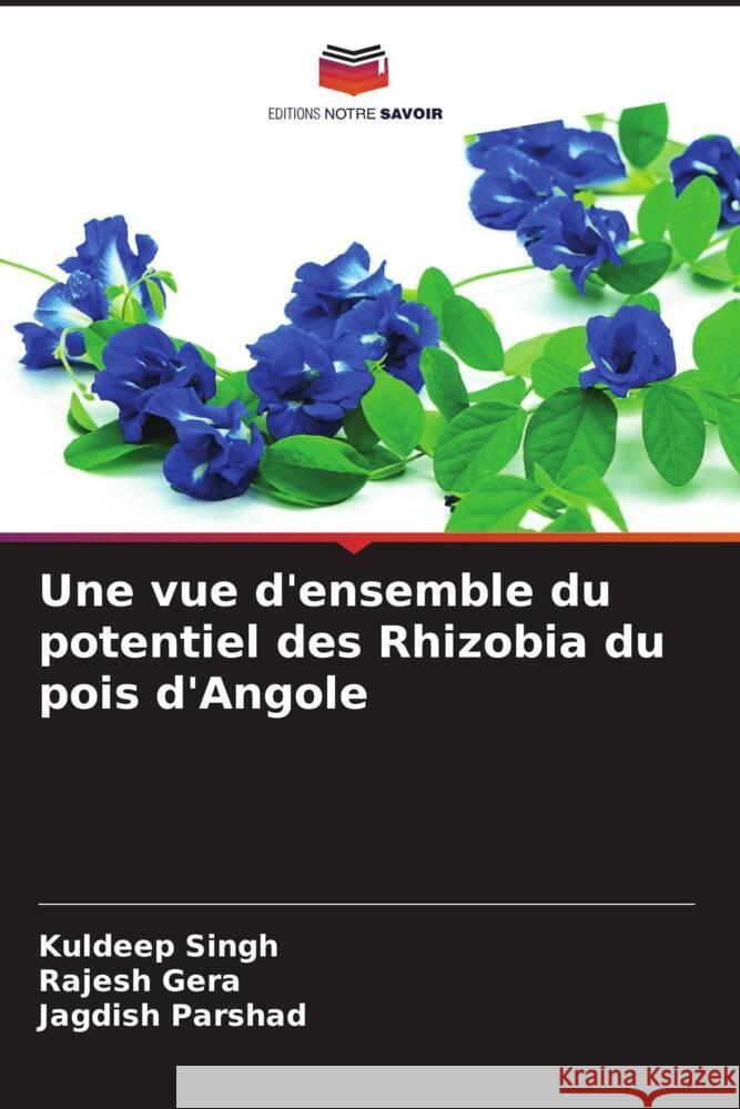 Une vue d'ensemble du potentiel des Rhizobia du pois d'Angole Singh, Kuldeep, Gera, Rajesh, Parshad, Jagdish 9786205483176 Editions Notre Savoir - książka