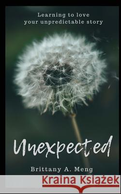 Unexpected: Learning to Love Your Unpredictable Story Brittany a. Meng 9781717774811 Independently Published - książka
