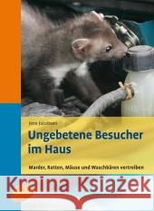 Ungebetene Besucher im Haus : Marder, Ratten, Mäuse und Waschbären vertreiben Jacobsen, Jens   9783800157532 Ulmer (Eugen) - książka