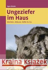 Ungeziefer im Haus : Motten, Mäuse, Käfer & Co. Binder, Egon 9783800153435 Ulmer (Eugen) - książka