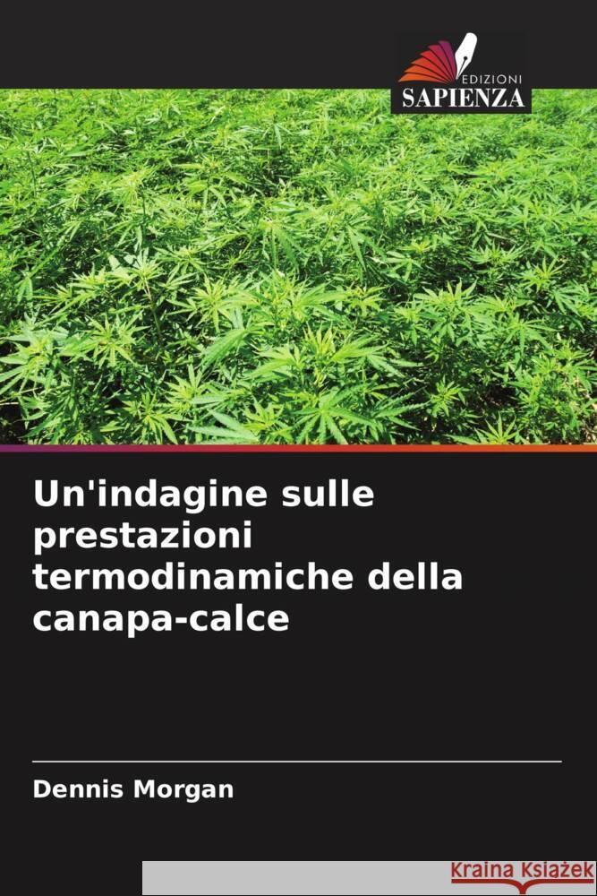 Un'indagine sulle prestazioni termodinamiche della canapa-calce Morgan, Dennis 9786205234433 Edizioni Sapienza - książka