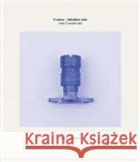 Union – Ideální stát Jan ÄŒumlivski 9788087037447 Revolver Revue - książka