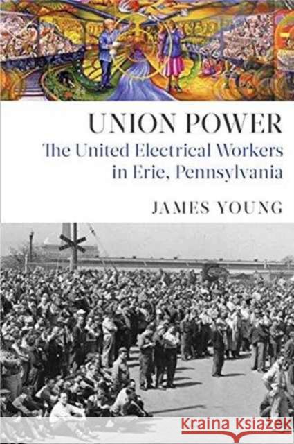 Union Power: The United Electrical Workers in Erie, Pennsylvania James Young 9781583676172 Monthly Review Press - książka