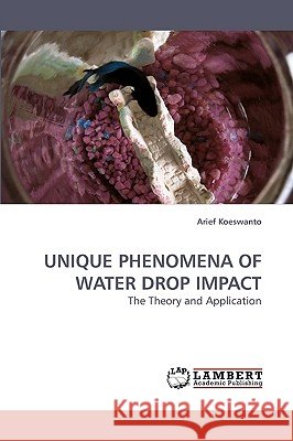 Unique Phenomena of Water Drop Impact  9783838305332 LAP Lambert Academic Publishing AG & Co KG - książka