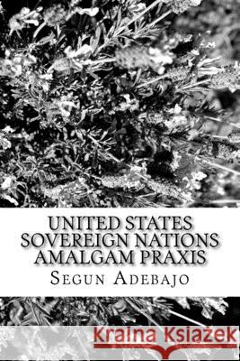 United States Sovereign Nations Amalgam Praxis: The Great American Dreams Segun Juwon Adebaj 9781541010444 Createspace Independent Publishing Platform - książka