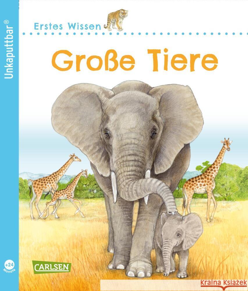 Unkaputtbar: Erstes Wissen: Große Tiere Klose, Petra 9783551036100 Carlsen - książka