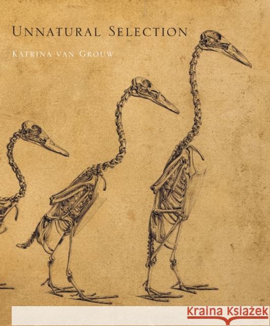 Unnatural Selection Katrina Va 9780691254050 Princeton University Press - książka