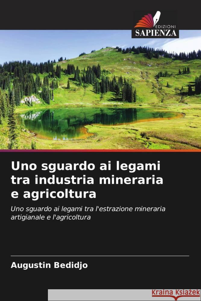 Uno sguardo ai legami tra industria mineraria e agricoltura Bedidjo, Augustin 9786205203361 Edizioni Sapienza - książka