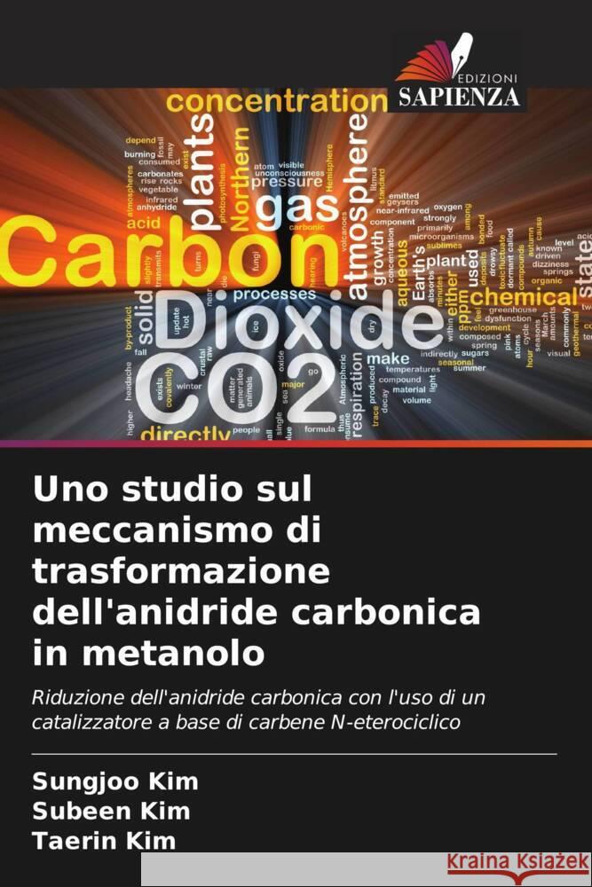 Uno studio sul meccanismo di trasformazione dell'anidride carbonica in metanolo Kim, Sungjoo, Kim, Subeen, Kim, Taerin 9786208359317 Edizioni Sapienza - książka