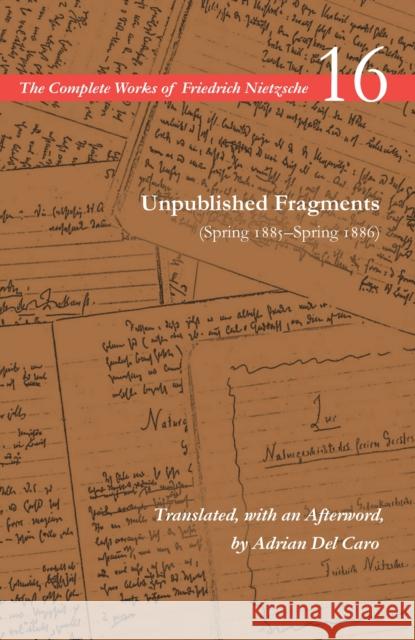 Unpublished Fragments (Spring 1885-Spring 1886): Volume 16 Nietzsche, Friedrich Wilhelm 9781503608726 Stanford University Press - książka