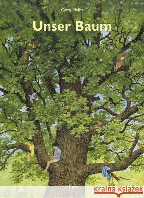 Unser Baum : Vom Leben einer alten Eiche Muller, Gerda 9783895653667 Moritz - książka