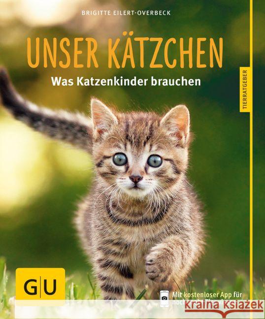 Unser Kätzchen : Was Katzenkinder brauchen Eilert-Overbeck, Brigitte 9783833841477 Gräfe & Unzer - książka