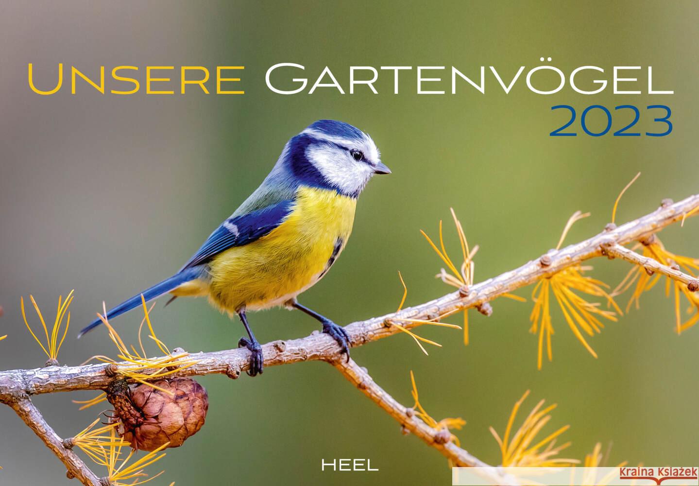 Unsere Gartenvögel 2023  9783966644488 Heel Verlag - książka