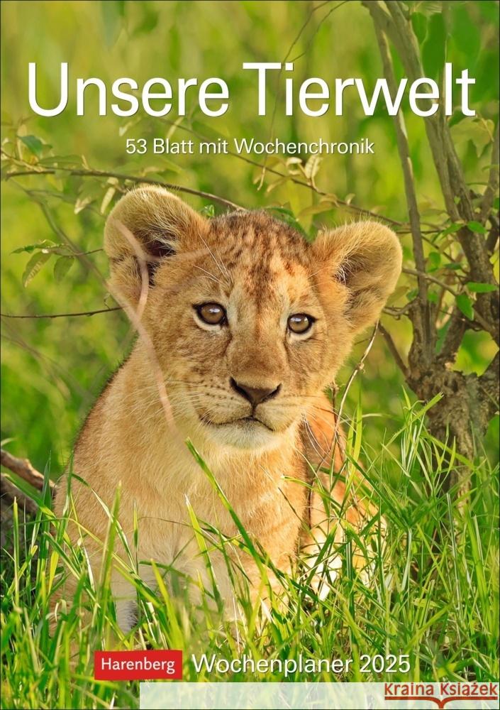 Unsere Tierwelt Wochenplaner 2025 - 53 Blatt mit Wochenchronik Hattstein, Markus 9783840034671 Harenberg - książka