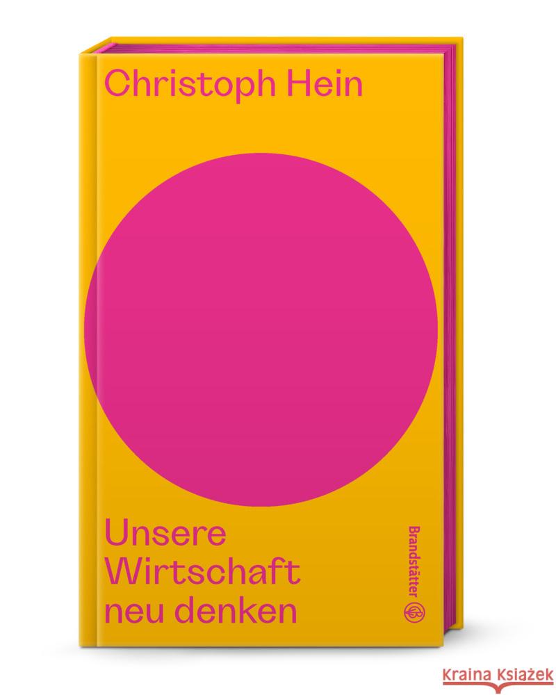 Unsere Wirtschaft neu denken Hein, Christoph 9783710609121 Brandstätter - książka