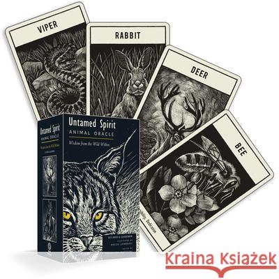 Untamed Spirit: Animal Oracle (50 Cards and Guidebook) Francesca Matteoni Rocco Lombardi 9781590035313 Red Wheel - książka