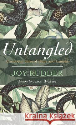 Untangled Joy Rudder, Jason Byassee 9781666743050 Resource Publications (CA) - książka