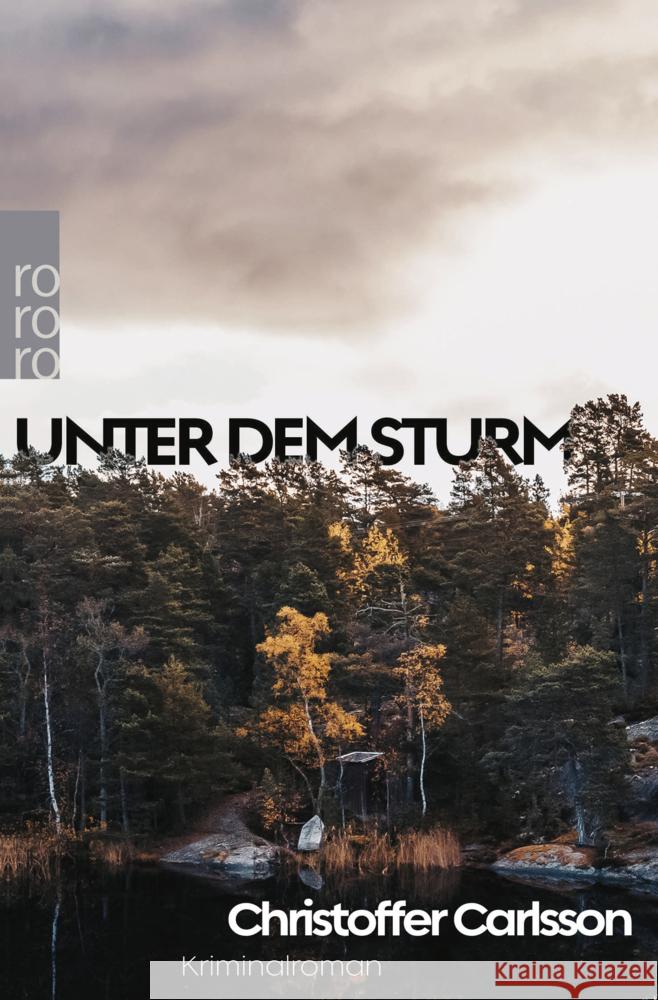 Unter dem Sturm Carlsson, Christoffer 9783499002625 Rowohlt TB. - książka
