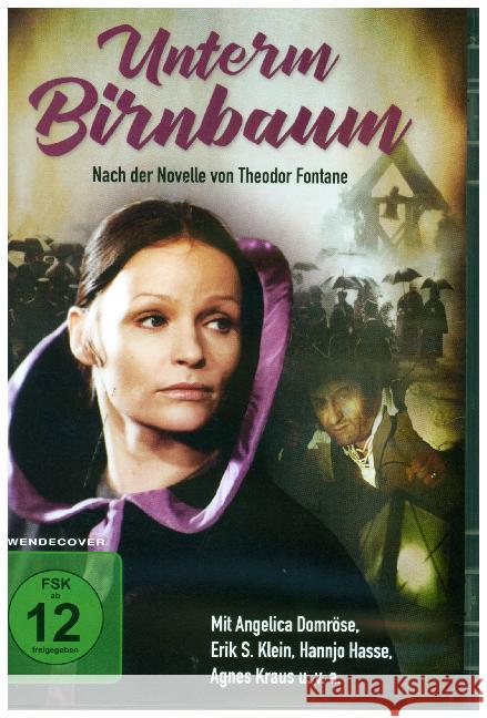 Unterm Birnbaum, 1 DVD Fontane, Theodor 4028951699841 VZ-Handelsgesellschaft - książka