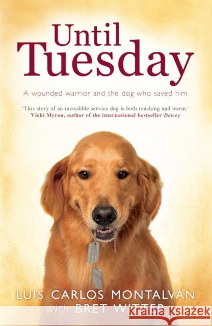 Until Tuesday Bret Witter 9780755361892  - książka