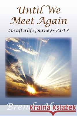 Until We Meet Again: An afterlife journey - Part 3 Brenda Hasse 9781734778625 Brenda Hasse - książka