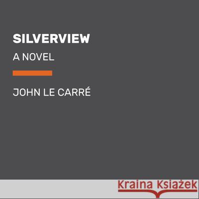 Untitled 6900 Penguin Random House 9780593453629 Random House Large Print Publishing - książka