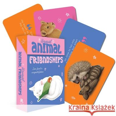 Unusual Animal Friendships Rockpool Publishing 9781925946857 Rockpool Publishing - książka