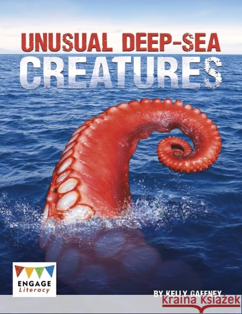 Unusual Deep-sea Creatures Kelly Gaffney 9781474717939 Raintree - książka