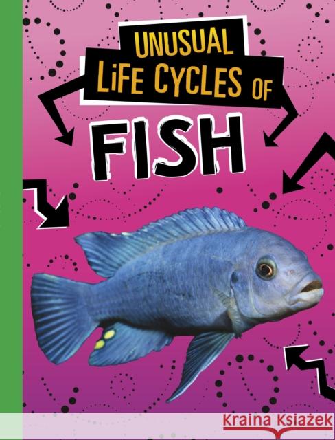 Unusual Life Cycles of Fish Jaclyn Jaycox 9781398222984 Capstone Global Library Ltd - książka