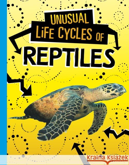 Unusual Life Cycles of Reptiles Jaclyn Jaycox 9781398223110 Capstone Global Library Ltd - książka