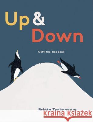 Up & Down: A Lift-The-Flap Book Britta Teckentrup Britta Teckentrup 9780763671297 Templar Books - książka